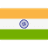 IN flag