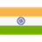 IN flag