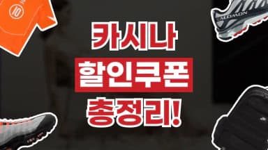 카시나 할인쿠폰 카시나 할인쿠폰 - 디스팟 할인정보