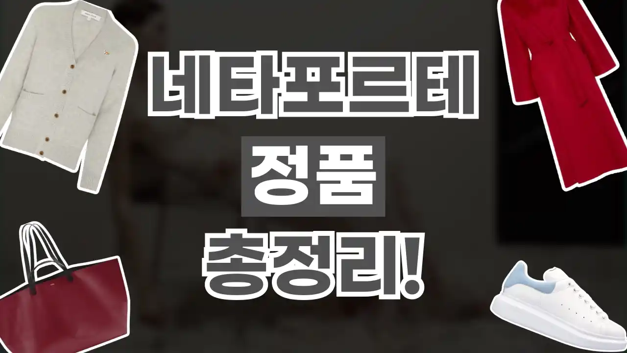 네타포르테 정품 총정리 2026년 최신 네타포르테 정품 총정리