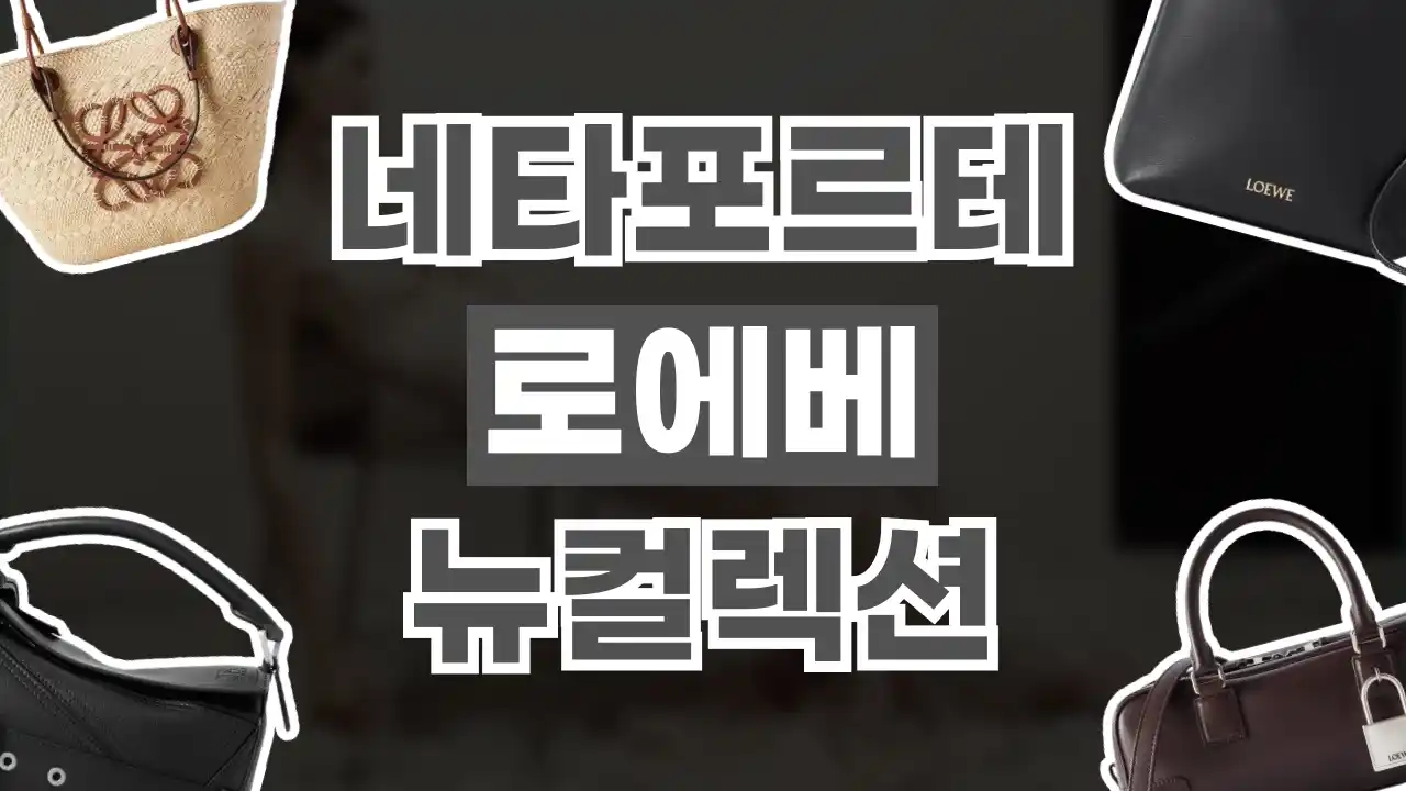 네타포르테 로에베 뉴컬렉션 네타포르테 로에베 뉴컬렉션 - 디스팟 할인정보