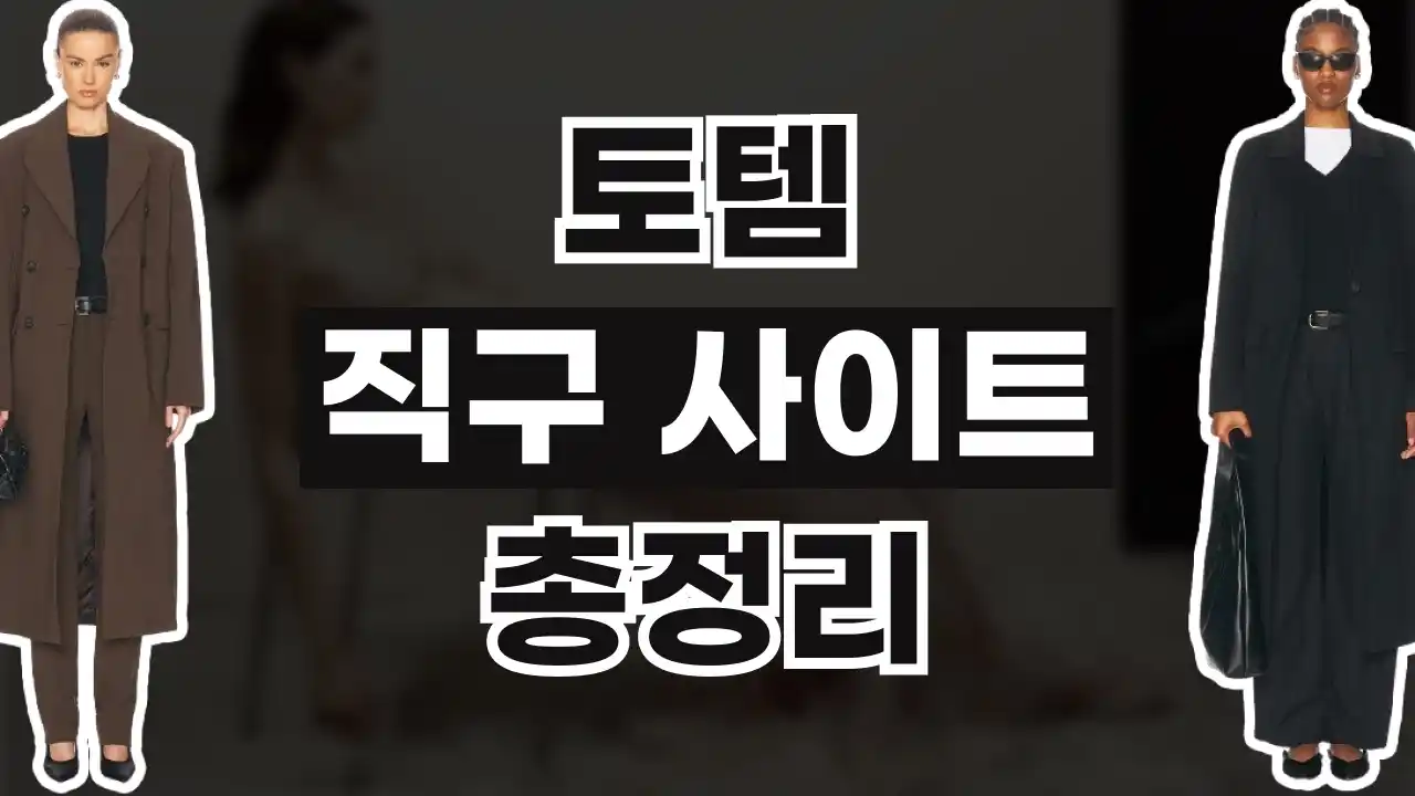 토템 직구 사이트 2026년 최신 토템 직구 사이트