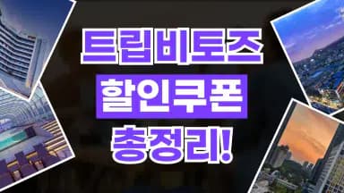 트립비토즈 할인코드 트립비토즈 할인코드 - 디스팟 할인정보