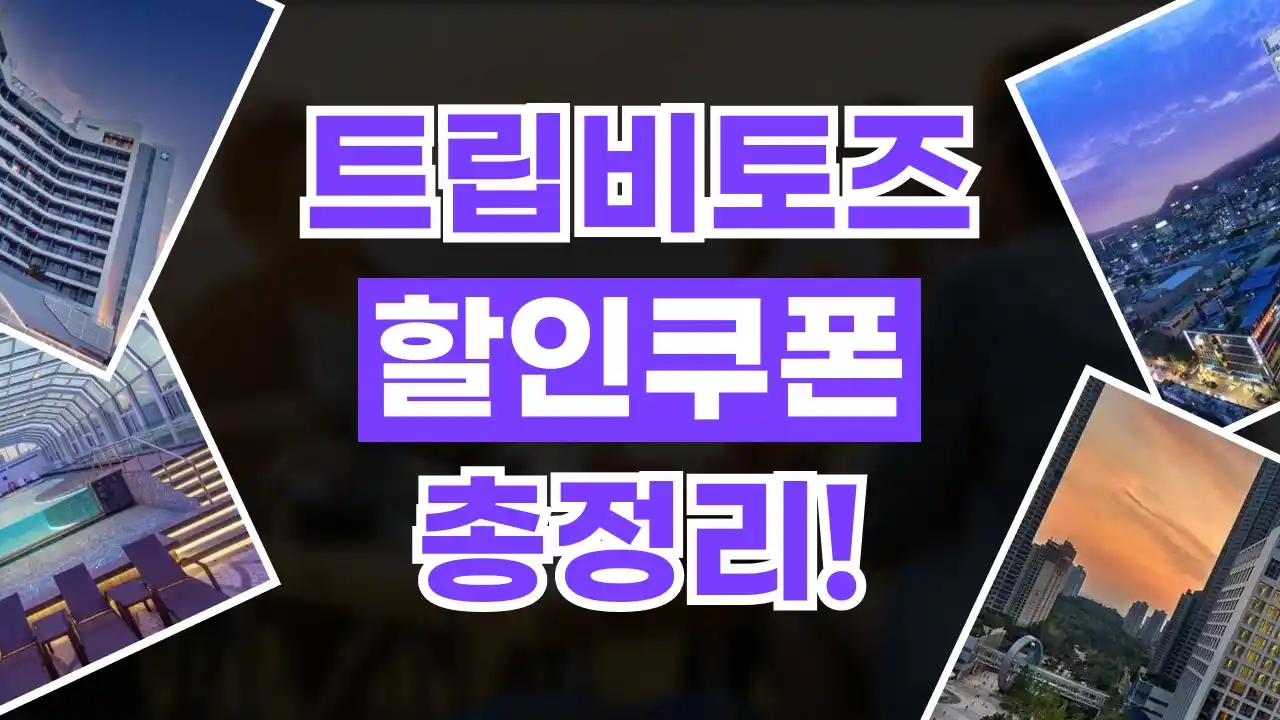 트립비토즈 할인코드 트립비토즈 할인코드 - 디스팟 할인정보